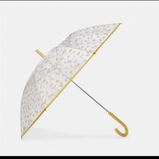 Coach clear bubble umbrella in mystical floral print