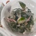 PINK princess philodendron TISSUE CULTURE