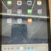 Mini ipad with Flappy Bird