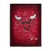 Chicago Bulls Street Raschel Throw Blanket 60 x 80