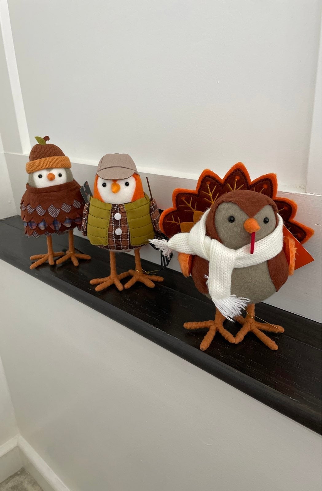 Target Hyde and EEK! Thanksgiving Birds 2022 ~Jora ~ Oakley ~ Griffin~