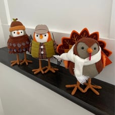 Target Hyde and EEK! Thanksgiving Birds 2022 ~Jora ~ Oakley ~ Griffin~