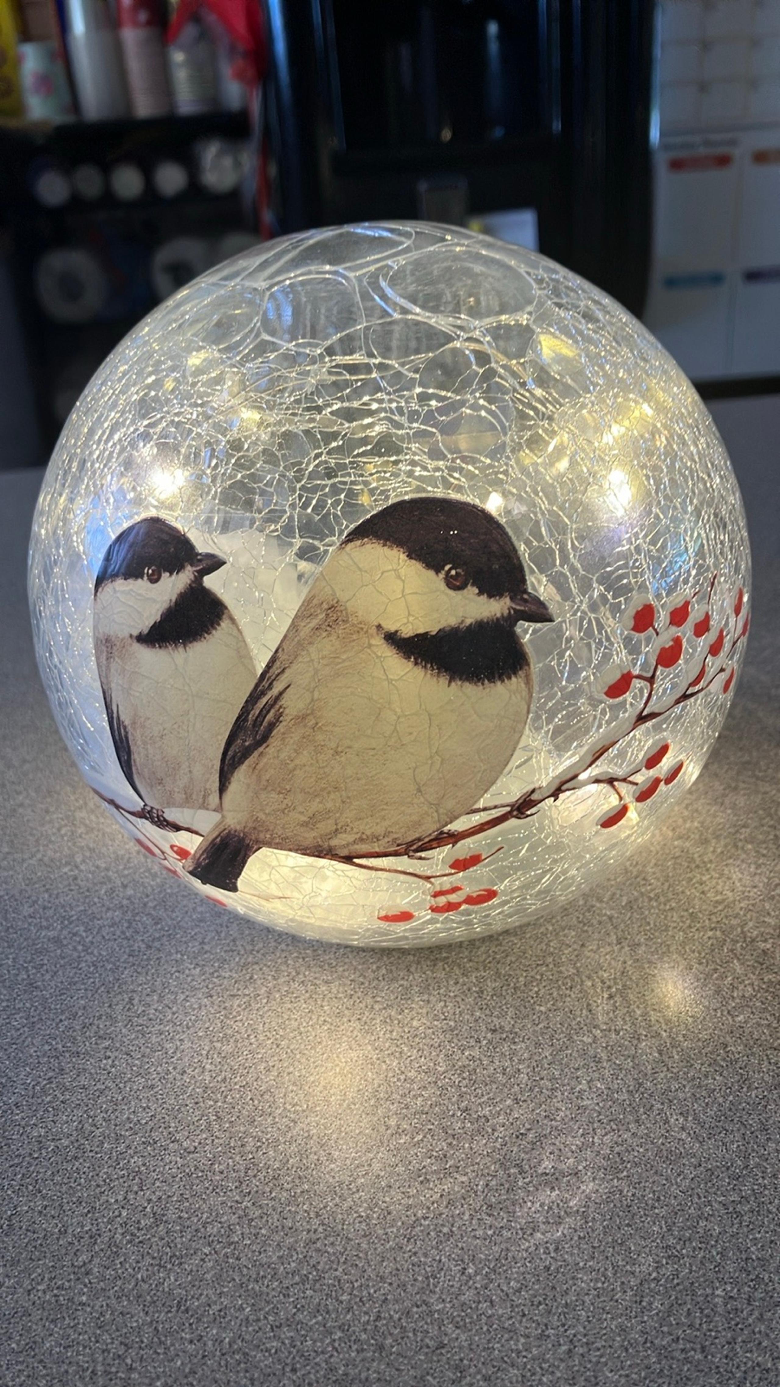 NIB glass ball, LED lights, bird pattern, wireless