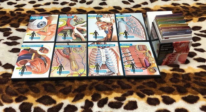 Body of Evidence by Dr. Menton 6 Disc Anatomy & Physiology DVD Set & Flash Cards