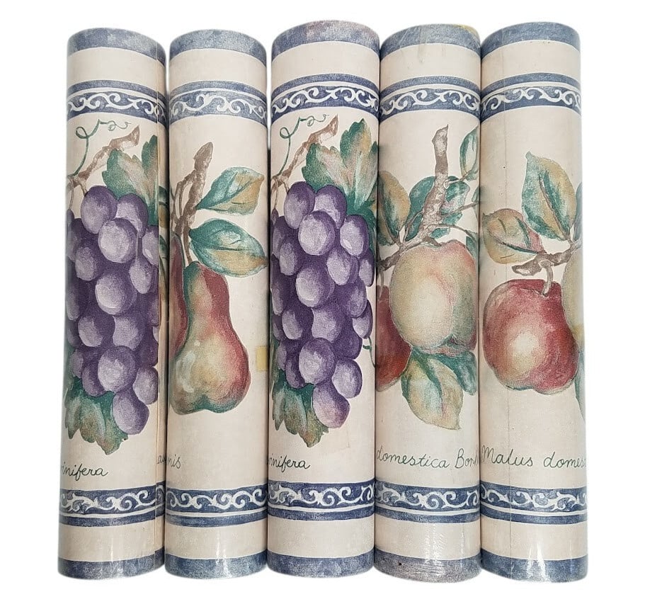Wallpaper Border Lot of 5 Rolls 10.25 Blue Frame Fruit Kingfisher 26116 Vintage