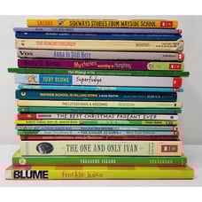 3rd Grade Chapter Books Lot of 20 Classics Homeschool Teacher Classroom Library