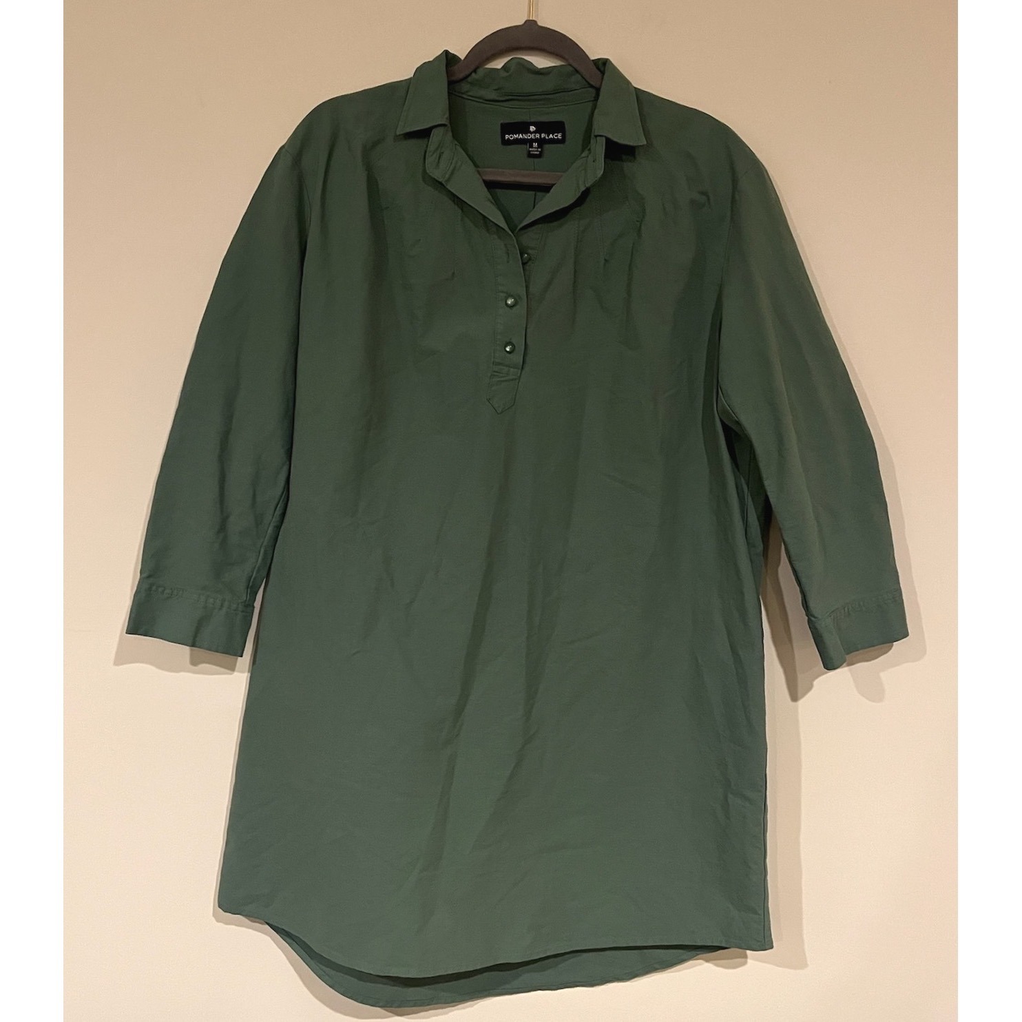Pomander Place Tuckernuck Shirt Dress Collared Button Down Green Medium
