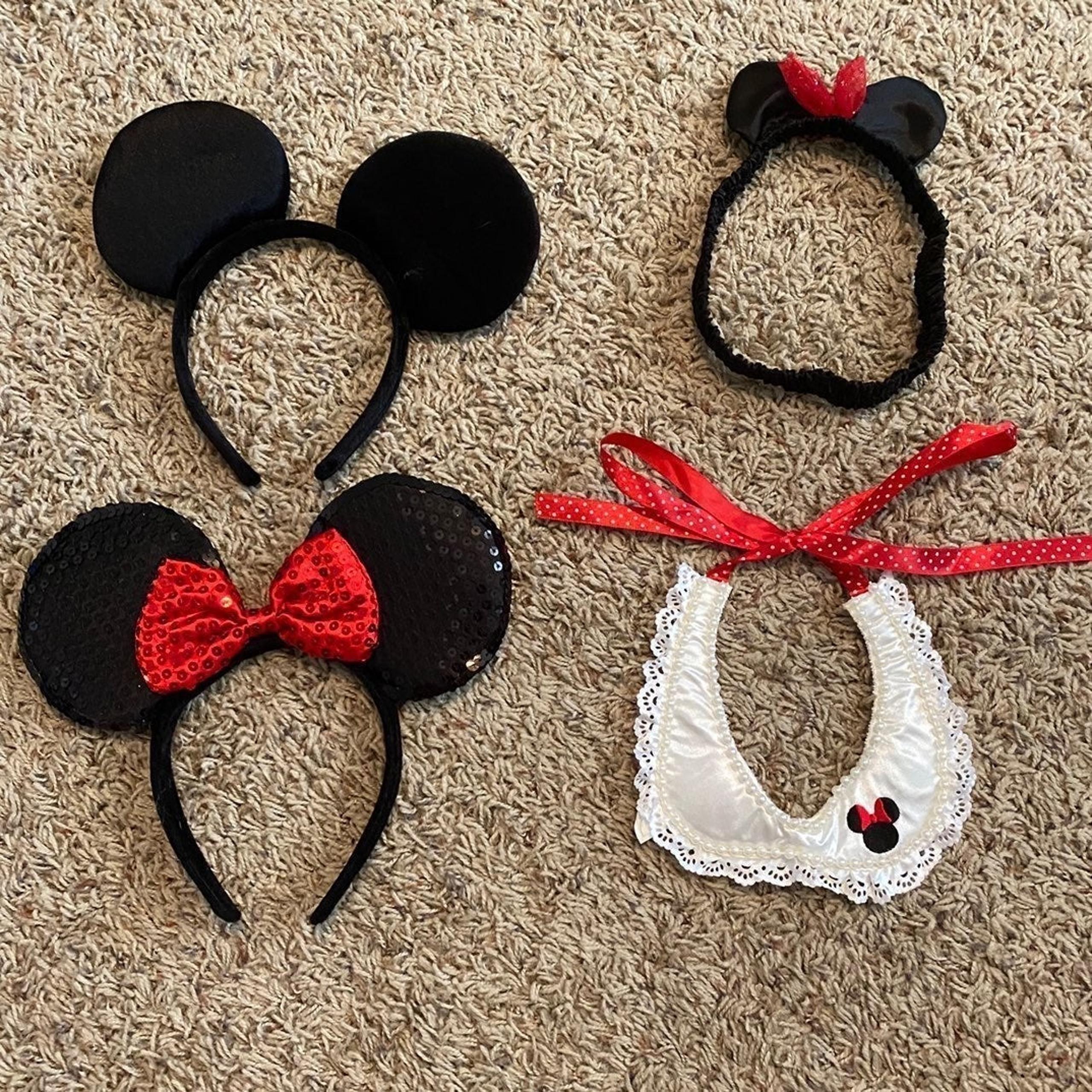 Family Mickey/Minnie Mouse Ears Set