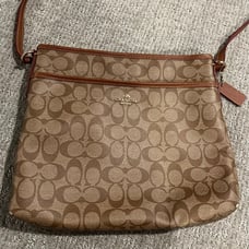 Coach Beige/Multicolor Pebble Leather/Smooth Leather Crossbody