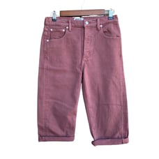 New Agolde Los Angeles Premium Women Denim Button Fly High Rise Capri Jeans 27