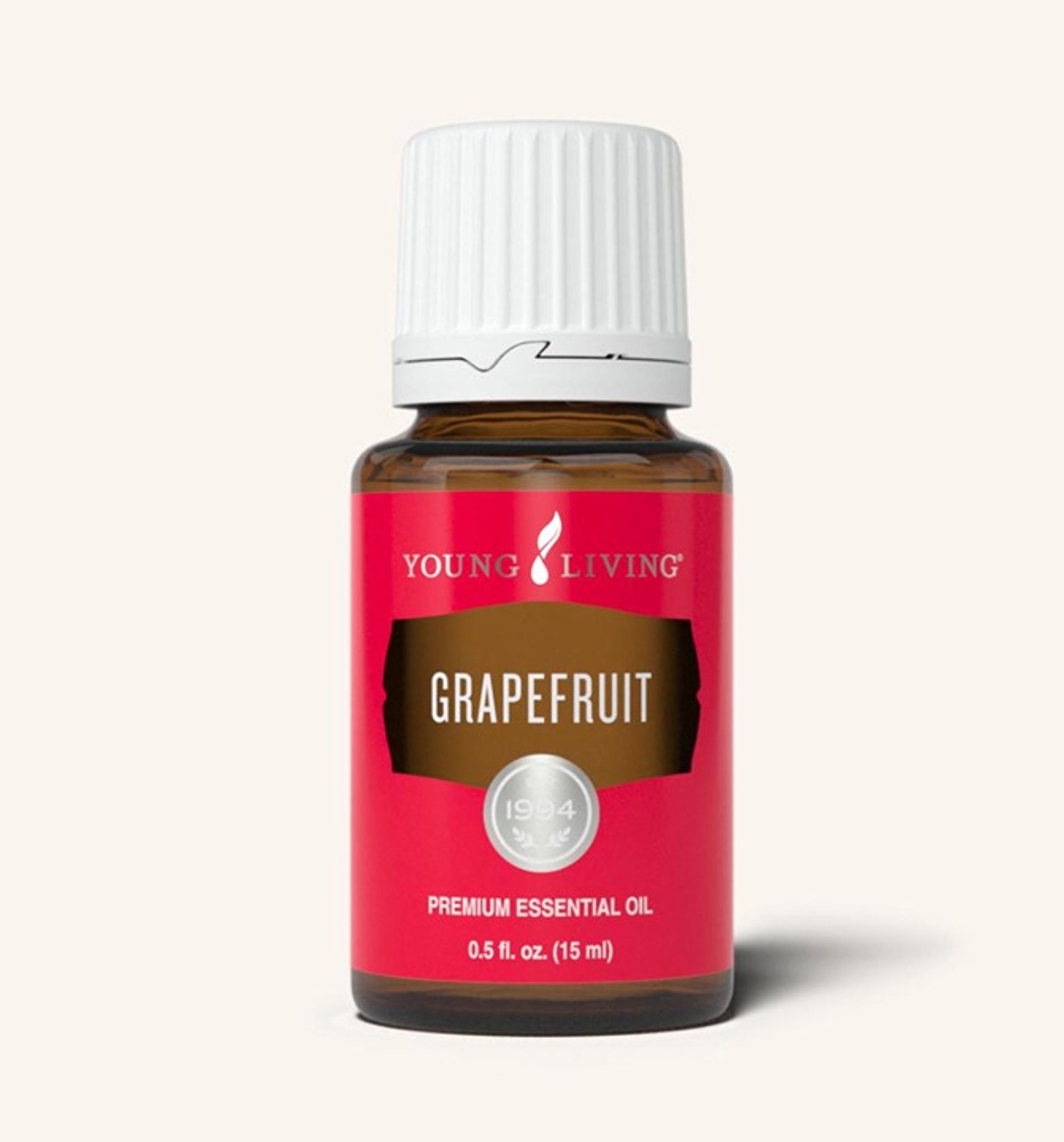 Young Living Fall Harvest Set Essential Oils Orange, Clove & Nutmeg NEW & SEALED