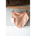 Acacia Echo Bikini Bottom Swim Medium Sunday NEW