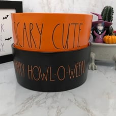 Bundle Rae Dunn Halloween bowls