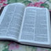 King James Version Holy Bible