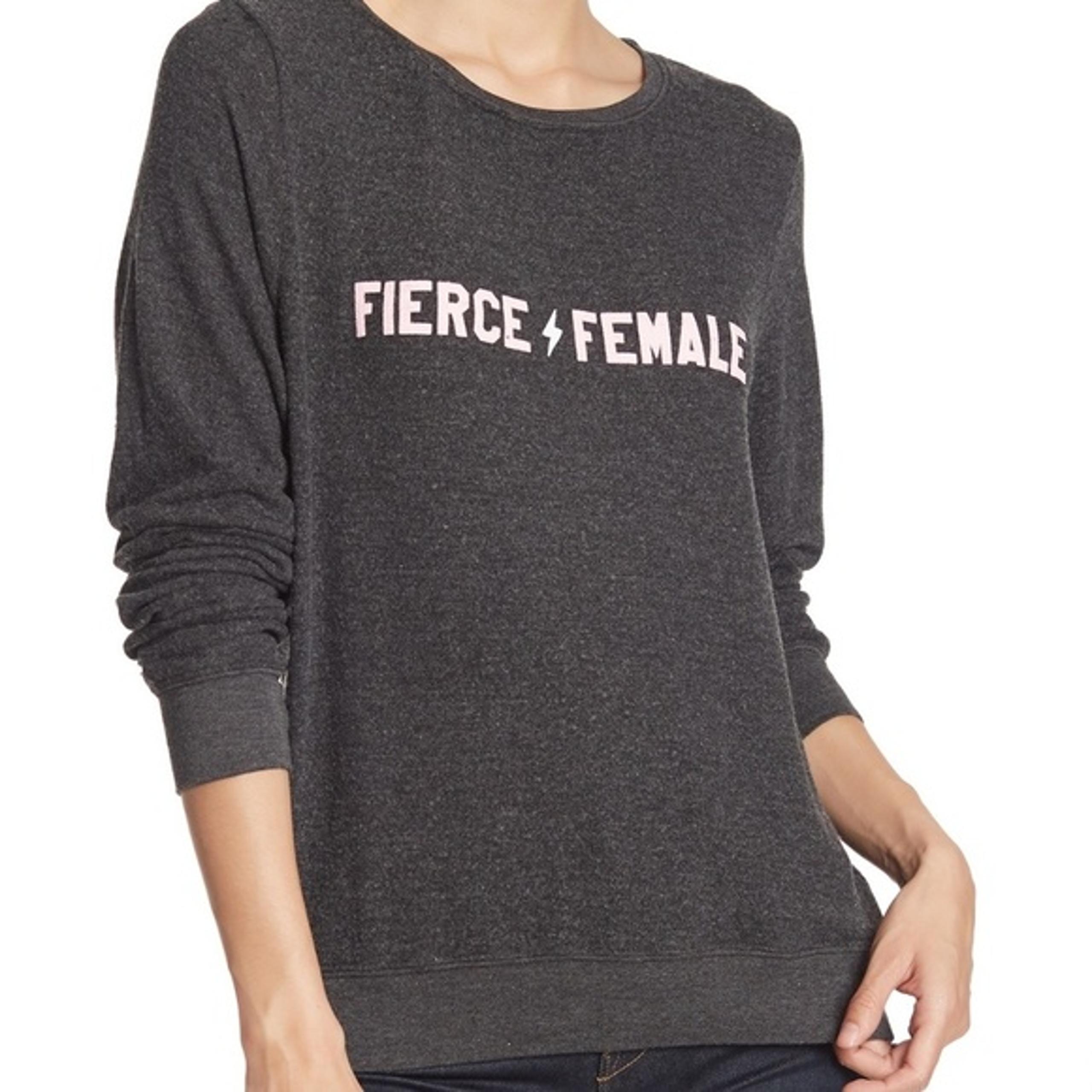 WILDFOX Fierce Female Brushed Knit Pullover Sweatshirt Top XS Grey Pink NWOT