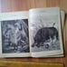 RARE ANTIQUE BOOK 135 YRS OLD CHATTERBOX 1890