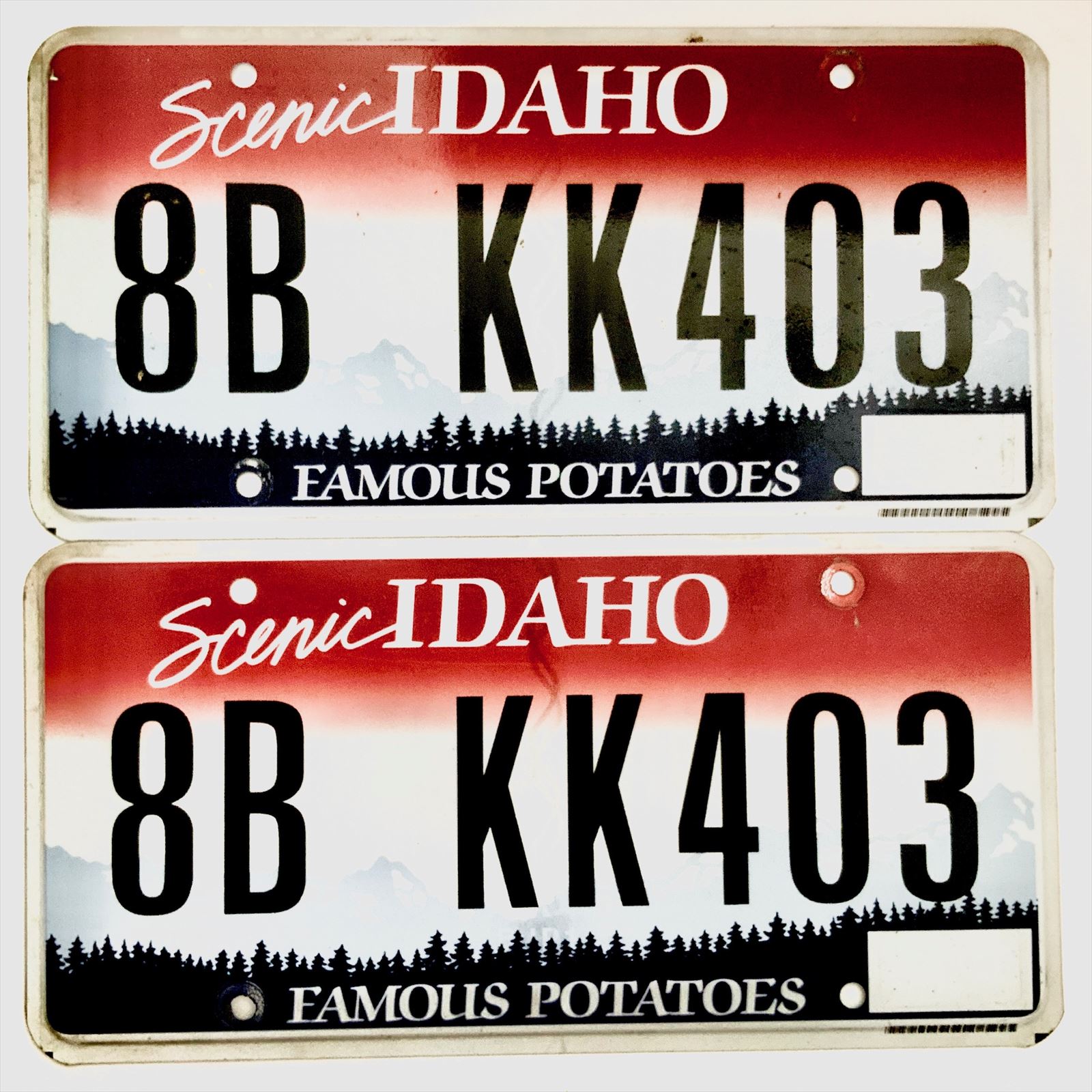 Idaho License Plate Pair KK403