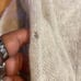 White + Warren cashmere sweater SAMPLE small HOLE in sleeve size small soft chic