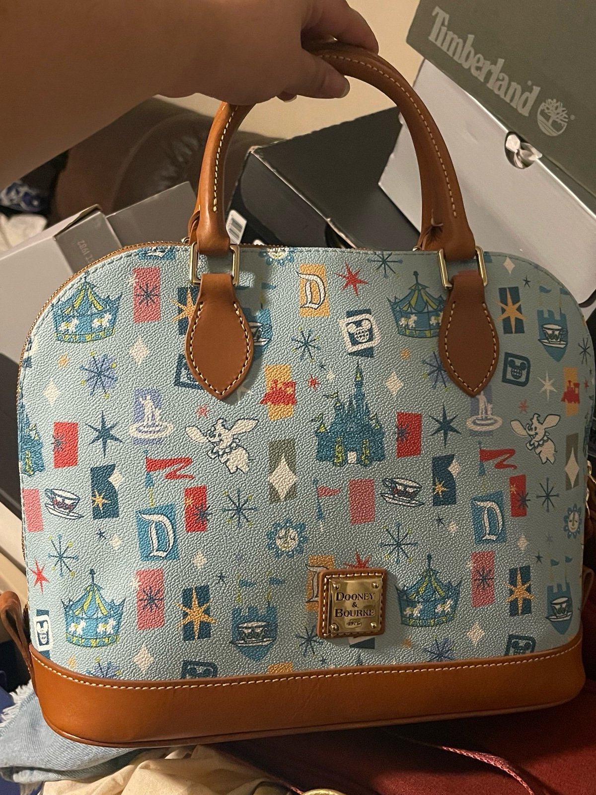 Disney Dooney & Bourke