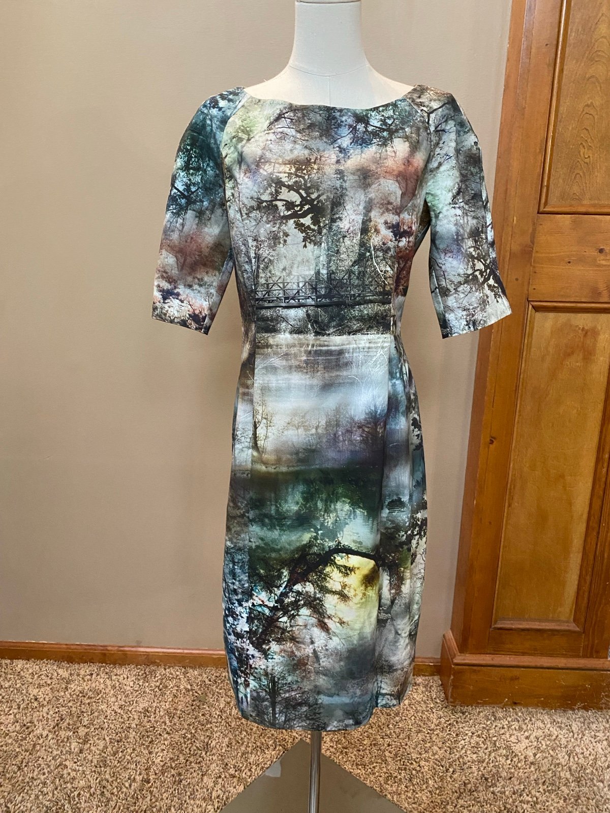 Esprit Dress - Vintage Nature Inspired Scenic Lake Pattern - Size 8