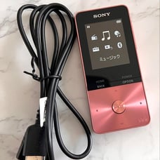 SONY Walkman nw-s313