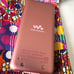 SONY Walkman nw-s313