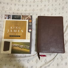 KJV Study Bible, Brown