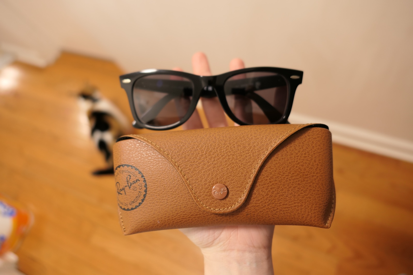 Ray Ban Original Wayfarer Classic Sunglasses