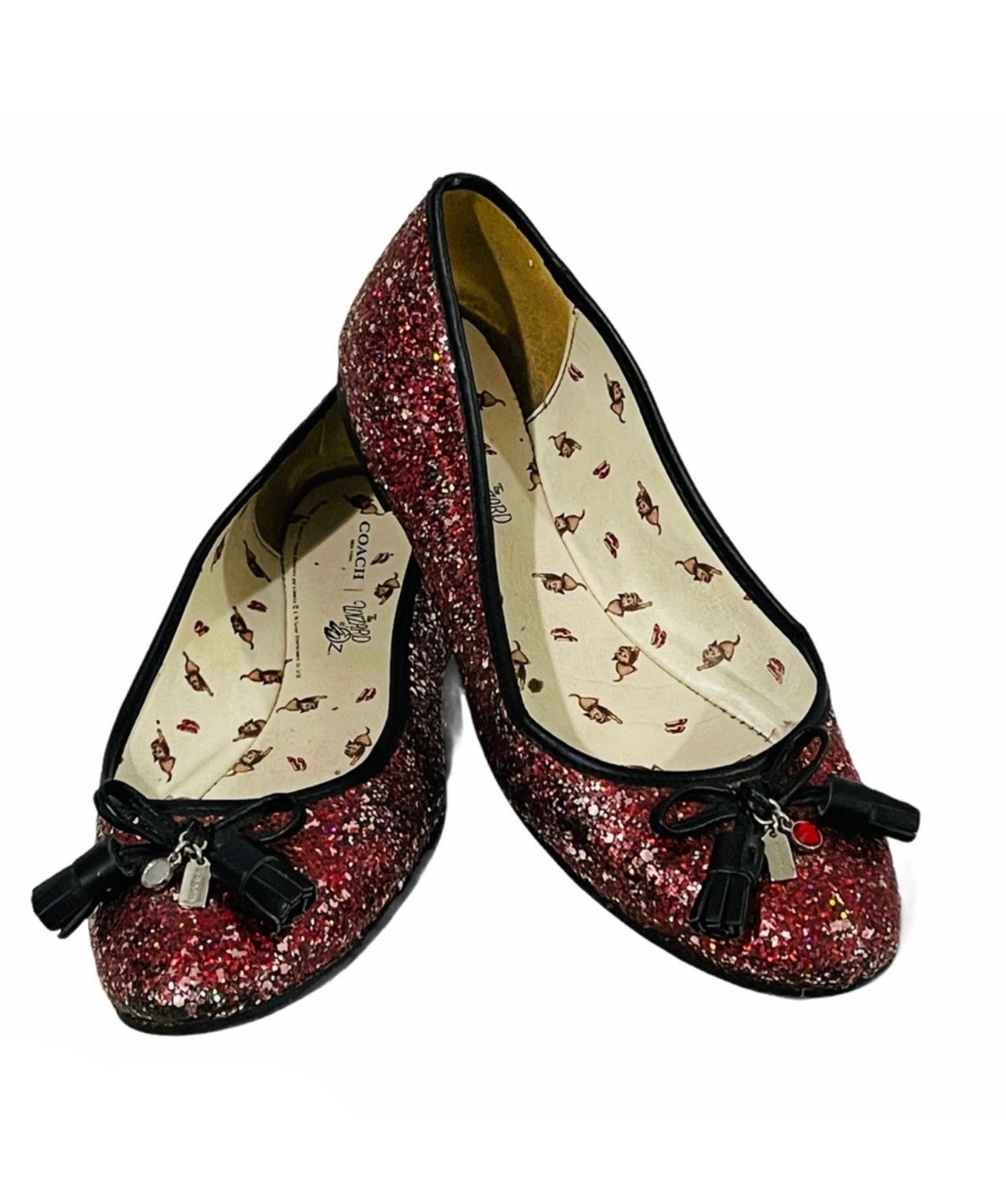 COACH x The Wizard of Oz Maryjane Flat Ruby Slippers 7.5 B
