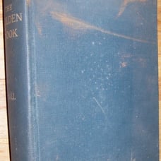 1914 GOLDEN BOOK ANTIQUE HOLY BIBLE