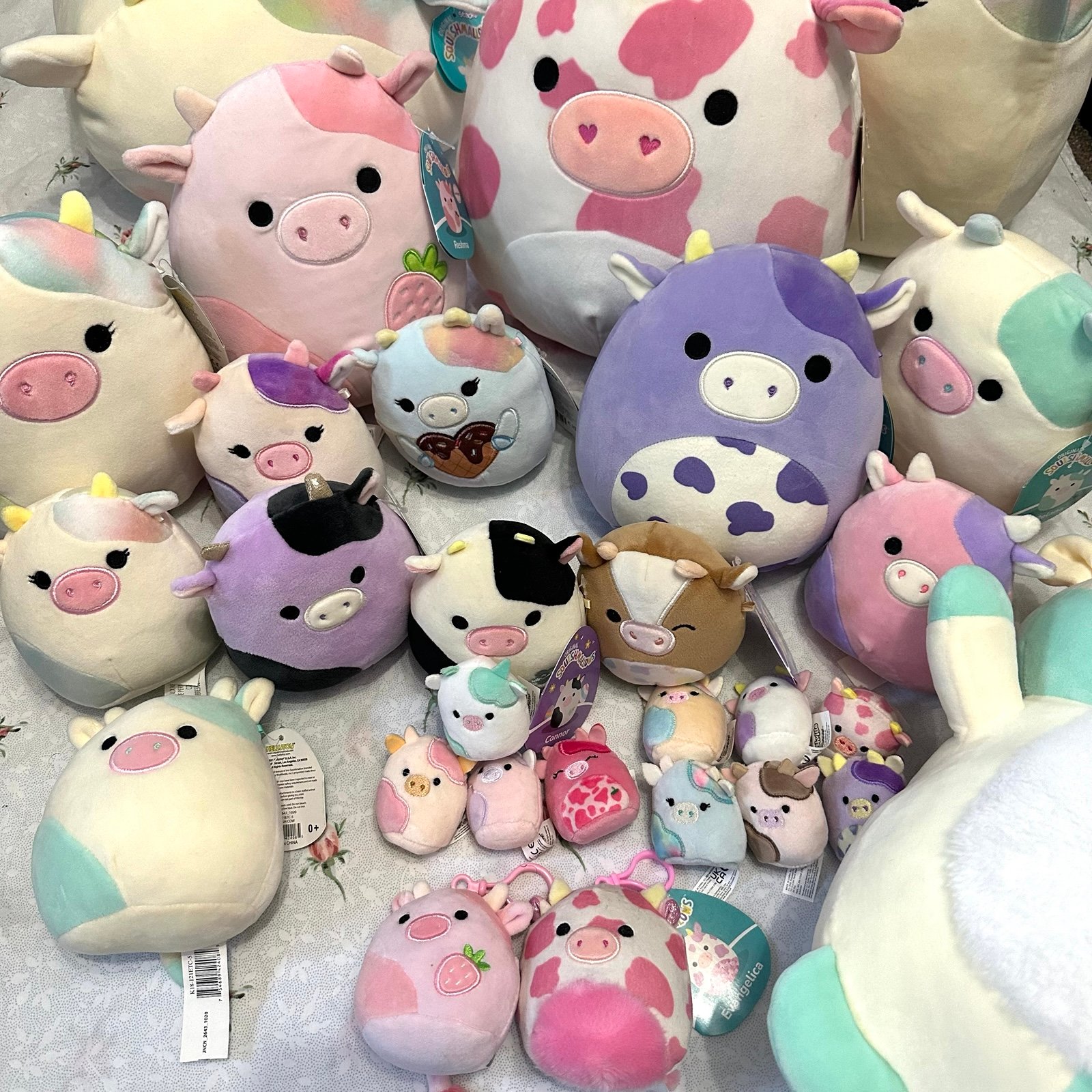 Amazing Cow Squishmallows Bundle Lot!!