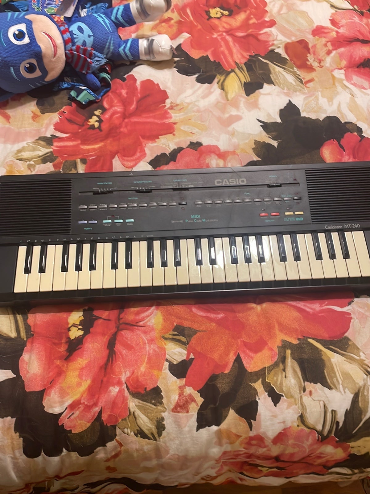Casio electronic musical instrument