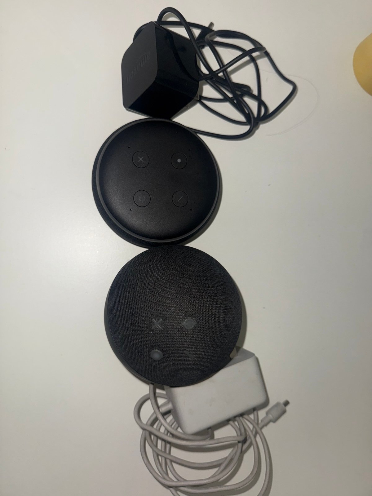 Echo Alexa