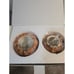 Scentsy Harvest Pumpkins Wax Warmer Fall Autumn Retired 2016 With Box