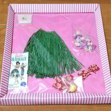 Barbie Vintage Barbie in Hawaii Outfit