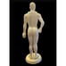 Acupuncture Body Model Medical Dummy & Instrument Set: Meridinal & Acupoints