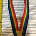 Rainbow Pride Day Suspenders. Wear the colors on pride day