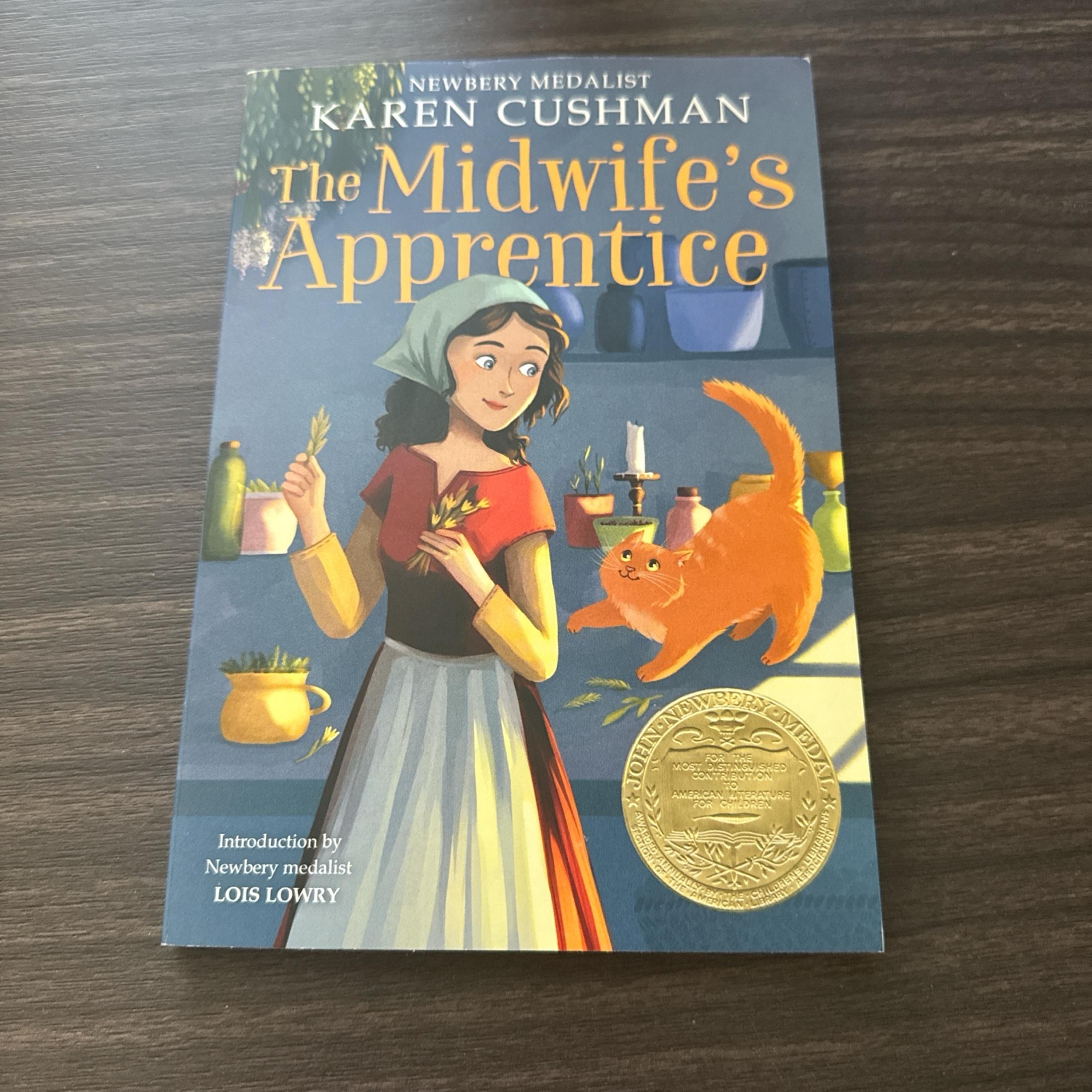 The midwife’s apprentice