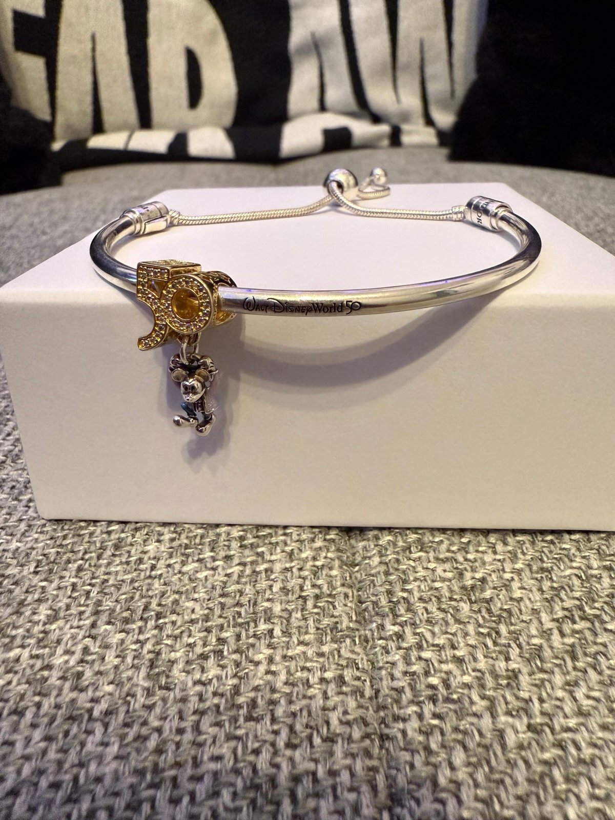 Walt Disney World Exclusive Pandora Bracelet and Charm