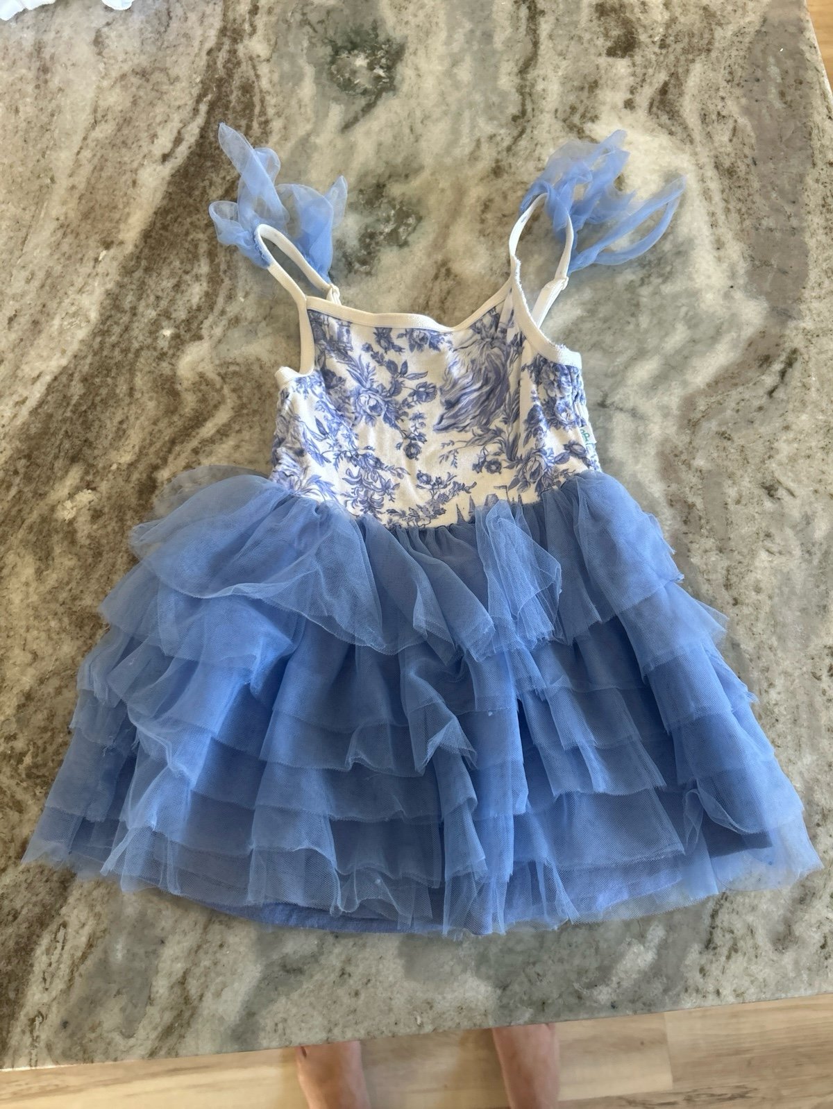 Briar Tulle Dress
