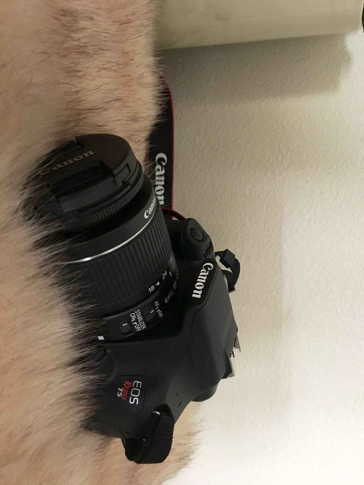 CANON REBEL T5