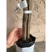 Grafted 'Fino De Jete' Cherimoya Fruit Tree (4+ Feet Tall) - Commercial Variety