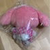 Sanrio My Melody GINGHAM Plush- NWOT