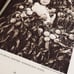 Antique National Geographic Magazine 1916 Official Box Jan Dec Rare Collection