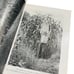 Antique National Geographic Magazine 1916 Official Box Jan Dec Rare Collection