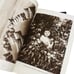 Antique National Geographic Magazine 1916 Official Box Jan Dec Rare Collection