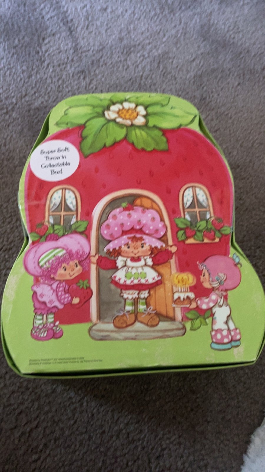 46x60 strawberry shortcake blanket