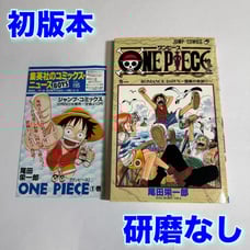 One Piece Volume 1 First Edition Booklet Rare