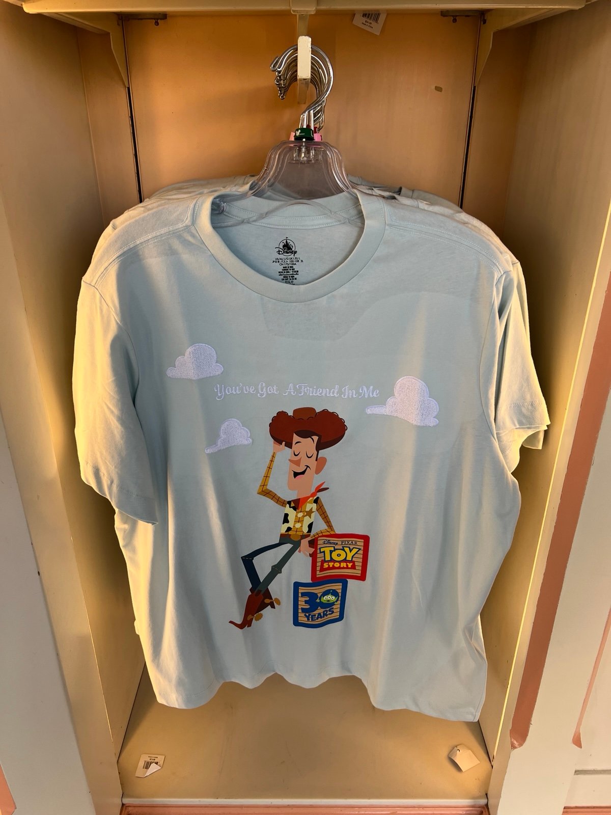 Disney Parks Toy Story 30th Anniversary T shirt Large