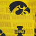 University of Iowa Hawkeyes Men's Blazer Size M 41R 100% Polyester Team Logo